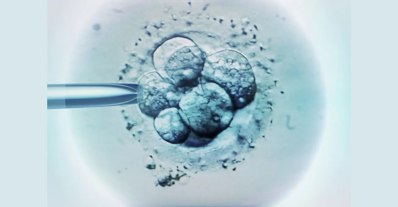 Is IVF protected in Kentucky? Depends on whom you ask.