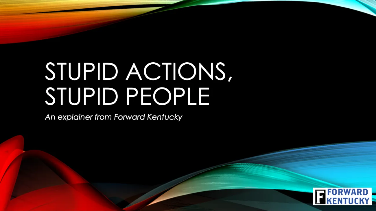 Stupid Actions, Stupid People